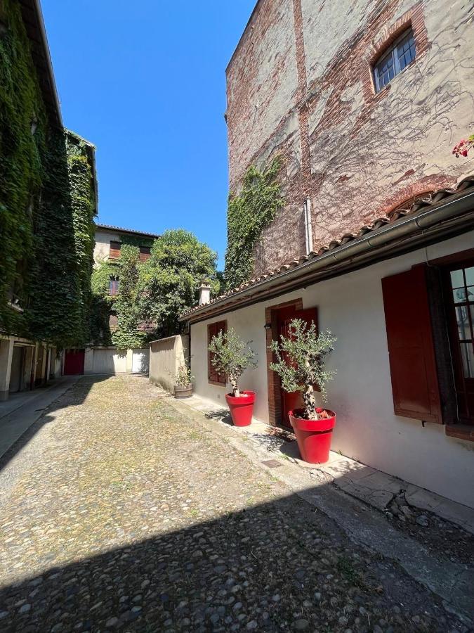 Appartement Petite Chartreuse Calme En Plein Coeur De Toulouse Extérieur photo